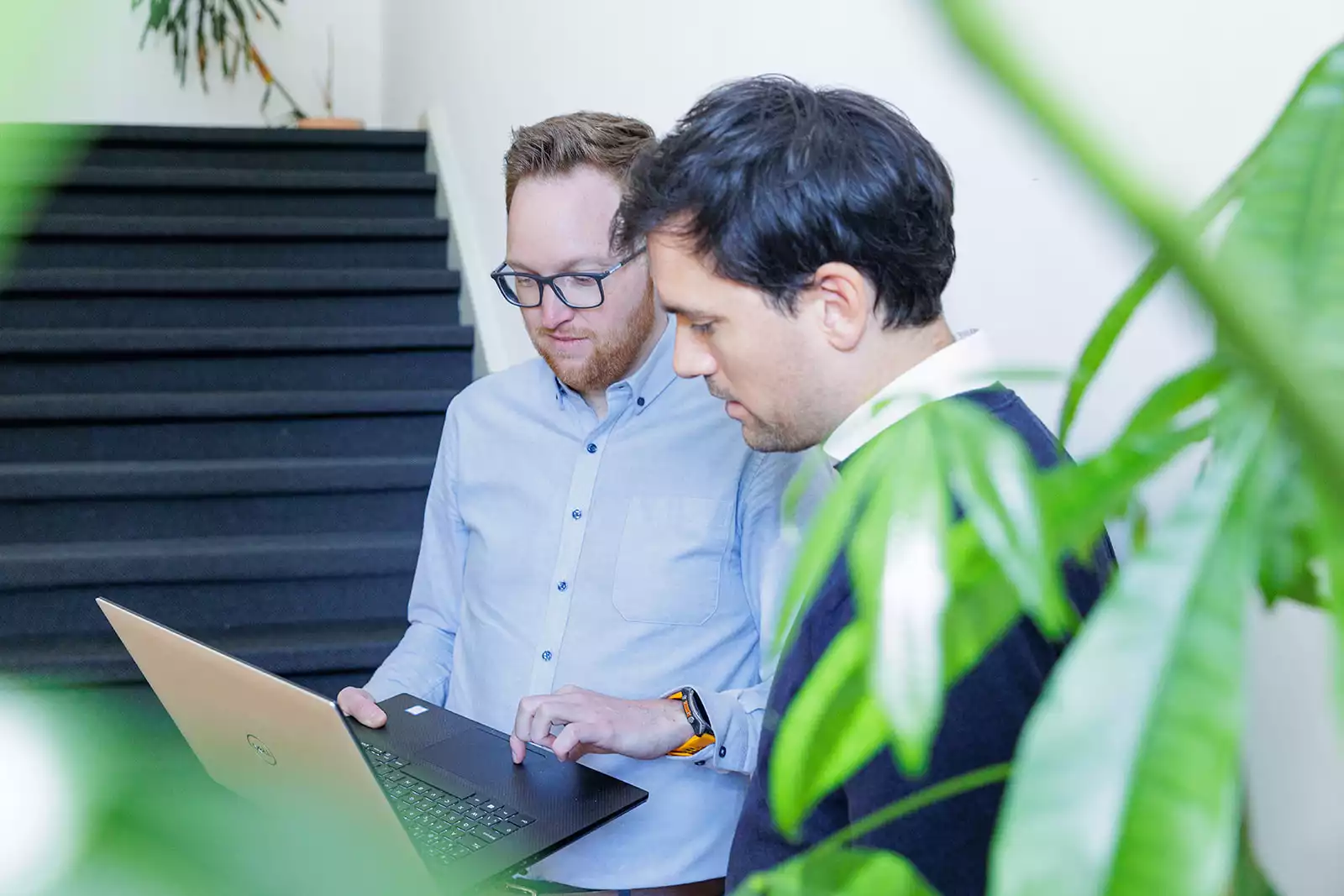 The Business Analysts - Processen en procedures